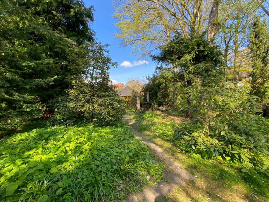 Garten Einfamilienhaus Pl�n