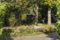 Bild (38ddba73cc37a0a89a038b1369934792): +++ gepflegte Gutshaus-H�lfte mit gro�em Grundst�ck und Saunahaus|Seltenheit +++