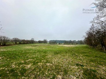Hauptbild +++ ca. 0,9965ha Grünland +++ freihändiger Verkauf|