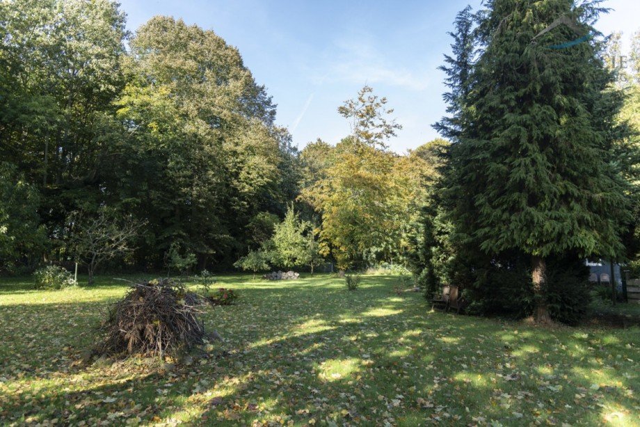 park�hnliches Gel�nde Landhaus Brandshagen / Niederhof