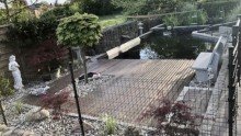 Teich modernisierter Familienbungalow mit gro�em Grundst�ck ||�zwischen NMS und Bad Bramstedt