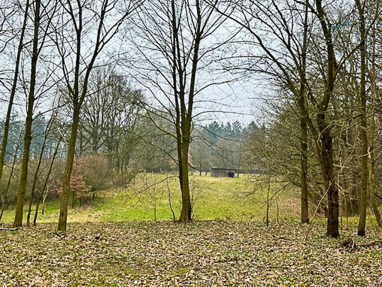 Nordrichtung Fredesdorf Land- / Forstwirtschaft - Grdst. +++ ca. 1,1058ha �berw. Gr�nland +++ freih�ndiger Verkauf|