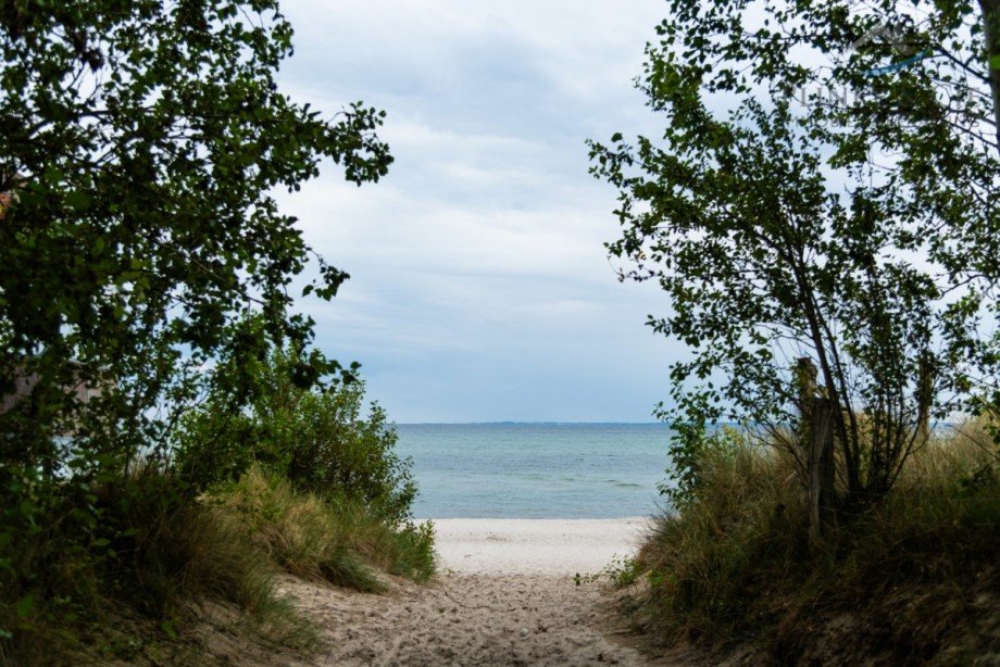 Lenster Naturstrand- in 1.000meter Einfamilienhaus Gr�mitz / Lenste