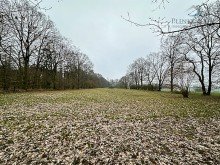 S�drichtung +++ ca. 1,1058ha �berw. Gr�nland +++ freih�ndiger Verkauf|