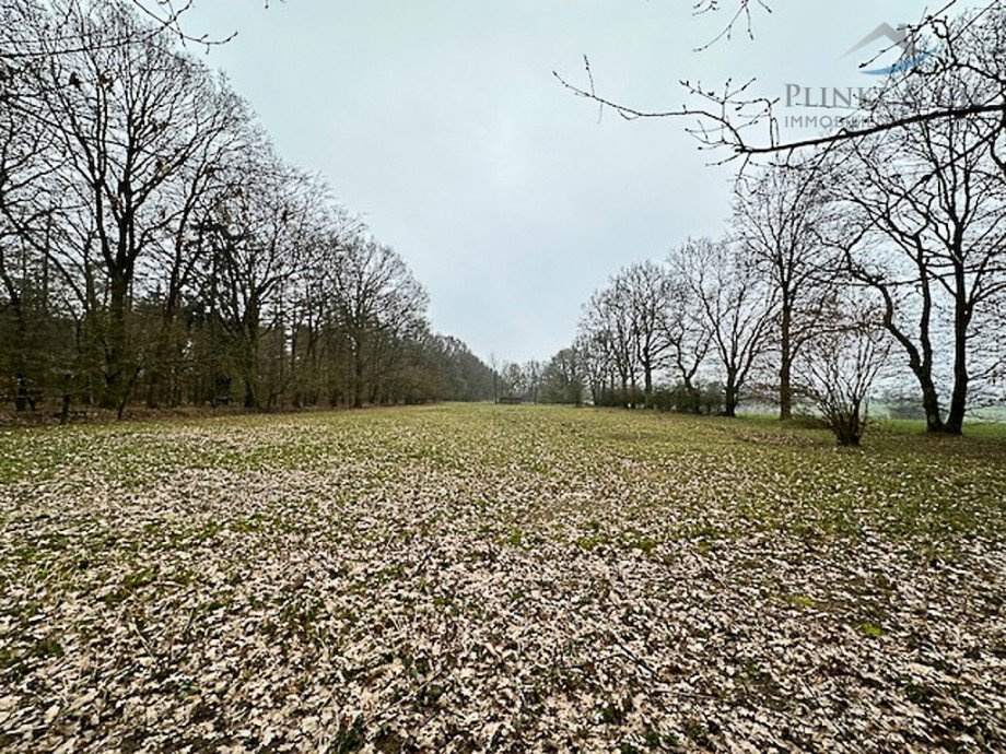 S�drichtung Land- / Forstwirtschaft - Grdst. Fredesdorf
