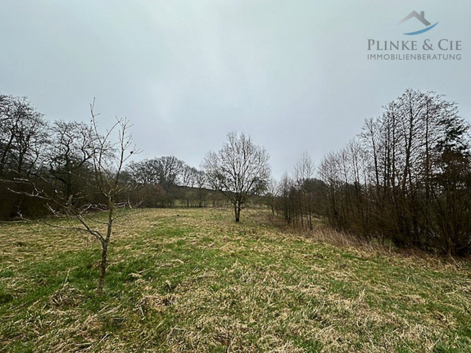 Lage Richtung Westen Land- / Forstwirtschaft - Grdst. M�zen