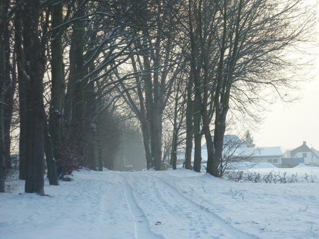 Strandweg Freizeitgrundst�ck P�tenitz