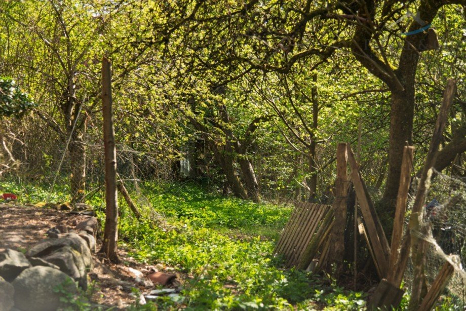 Garten Resthof K�kels