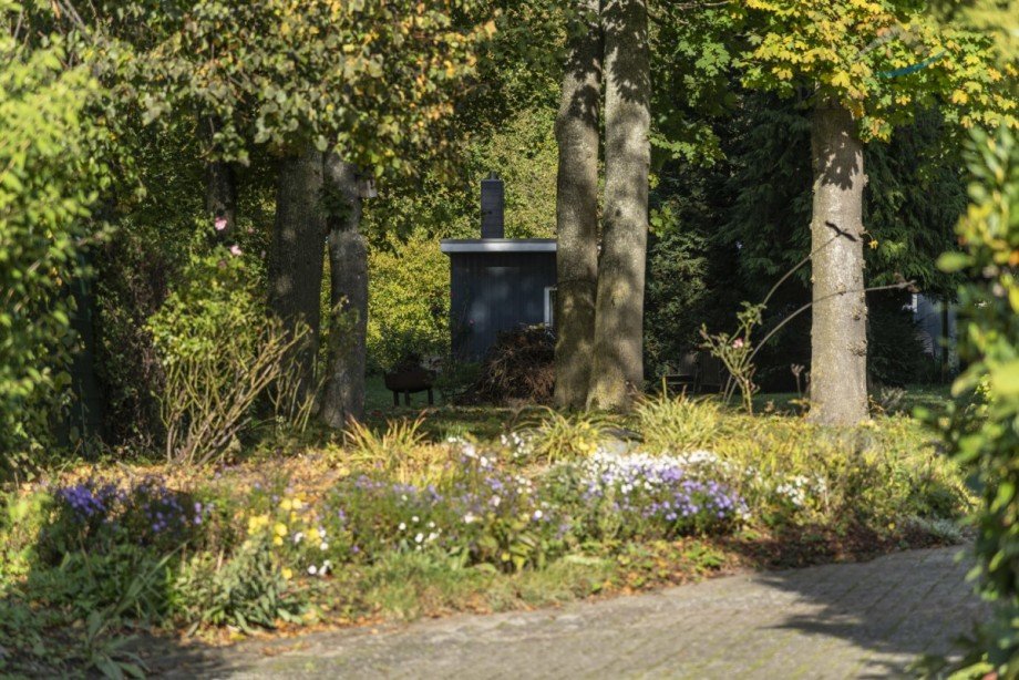 Alter Baumbestand Landhaus Brandshagen / Niederhof