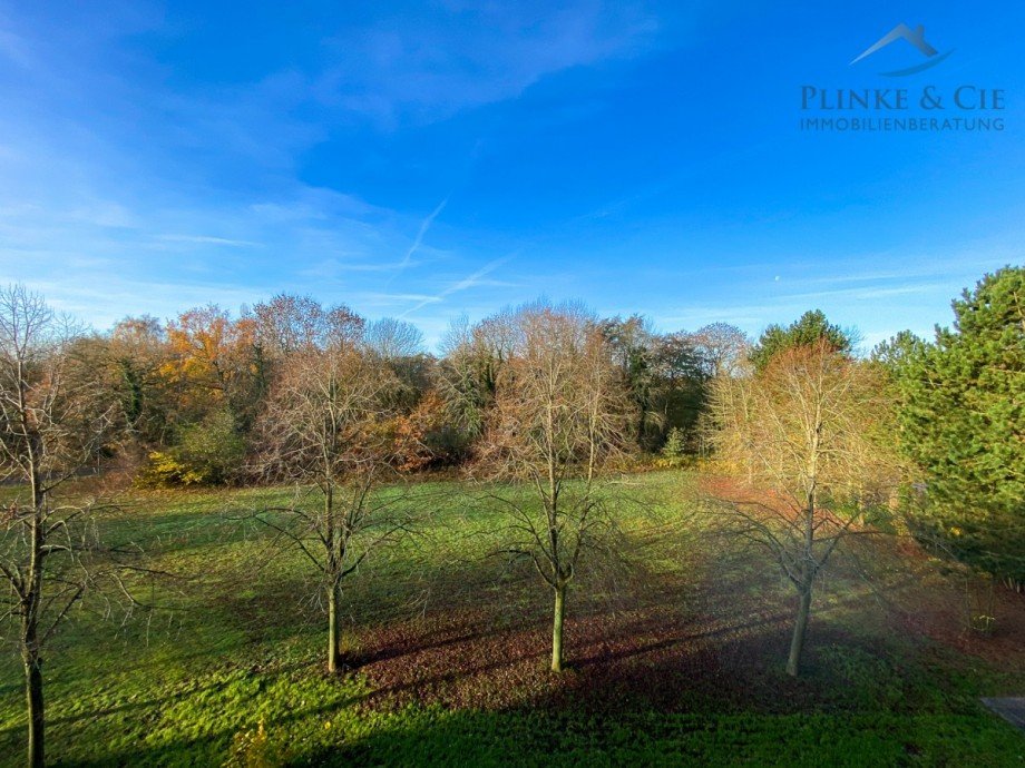Blick von der Loggia Etagenwohnung Sch�nberg (Holstein) / Holm