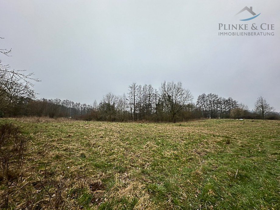 Lage Richtung Westen Land- / Forstwirtschaft - Grdst. M�zen