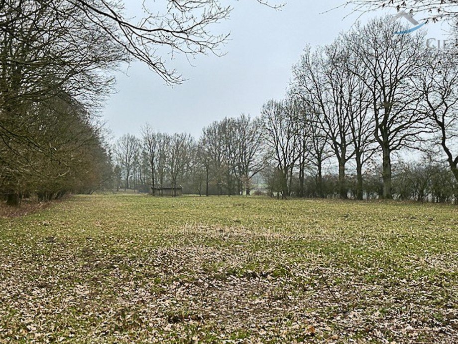 S�drichtung Land- / Forstwirtschaft - Grdst. Fredesdorf