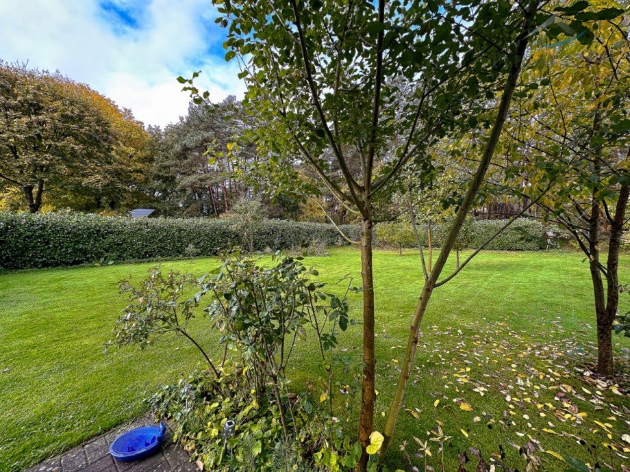 Garten Villa Winsen (Aller)